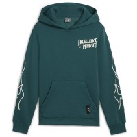 Детская толстовка Puma Basketball Caution Hoodie B Cold Green, s.140 фото №1 — интернет-магазин Desire.md