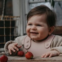 Слюнявчик BIBS Blush (4000244) фото №2 — интернет-магазин Desire.md