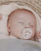 Пустышка BIBS Colour 2 Pack - Ivory/Petrol 0+ months (110367) фото №2 — интернет-магазин Desire.md