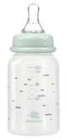 Biberon pentru bebeluș Kikka Boo Savanna Mint 120ml (31302020124) imaginea #2 — magazin online Desire.md