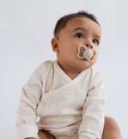 Пустышка BIBS Couture Silicone 2 Pack - Ivory/Sage 6+ months (1710309) фото №2 — интернет-магазин Desire.md