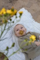 Suzeta BIBS De Lux 2 Pack 0-36months Honey Bee/Olive (150224) imaginea #4 — magazin online Desire.md