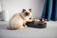Bol pentru pisici Petkit Fresh Nano Metal Feeding Bowl imaginea #2 — magazin online Desire.md