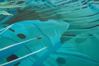 Prosop Lifeventure Tropical Picnic Blanket 150x150cm 63700 imaginea #2 — magazin online Desire.md