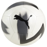 Мяч футбольный Puma Cage Ball Puma White/Black/Silver, s.5 фото №1 — интернет-магазин Desire.md