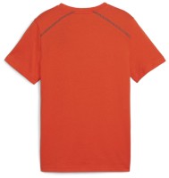 Детская футболка Puma Active Sports Graphic Tee I B Redmazing Redmazing, s.176 фото №2 — интернет-магазин Desire.md