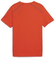 Детская футболка Puma Active Sports Graphic Tee Li B Redmazing Redmazing, s.128 фото №2 — интернет-магазин Desire.md