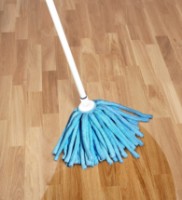 Насадка Smart Mopp Refill фото №2 — интернет-магазин Desire.md