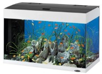 Acvariu Ferplast Dubai 80 Led White