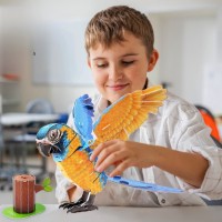 Puzzle 3D-constructor CubicFun Blue-Throated Macaw (DS1097h) imaginea #2 — magazin online Desire.md