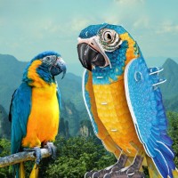 Puzzle 3D-constructor CubicFun Blue-Throated Macaw (DS1097h) imaginea #3 — magazin online Desire.md