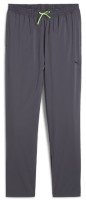 Мужские спортивные штаны Puma Woven Tapered Pant Galactic Gray, s.XL фото №1 — интернет-магазин Desire.md