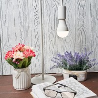 Bec Rexant 604-014 imaginea #2 — magazin online Desire.md