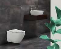 Vas WC Ege Vitrifiye Kindos E88343614 White Matte imaginea #3 — magazin online Desire.md