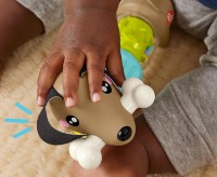 Развивающий набор Fisher Price Pets (HTW91) фото №4 — интернет-магазин Desire.md