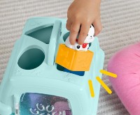 Sortator Fisher Price Pets (HTW93) imaginea #2 — magazin online Desire.md