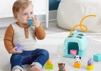 Sortator Fisher Price Pets (HTW93) imaginea #4 — magazin online Desire.md