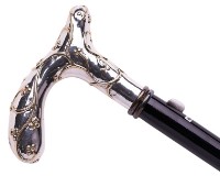 Baston Walking Sticks EF 05