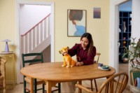 Set de construcție Lego Disney: Young Simba the Lion King (43247) imaginea #3 — magazin online Desire.md