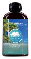 Odorizante aer Dharma Construct Holiday Dream 250ml (HD-250) imaginea #1 — magazin online Desire.md