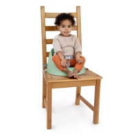 Стульчик для кормления Bright Starts Ingenuity My Spot Easy-Clean Green (16920) фото №4 — интернет-магазин Desire.md