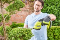 Mașina de tuns gard viu cu acumulator Ryobi RY18GSA-120T (5133005768) imaginea #2 — magazin online Desire.md