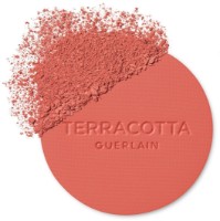 Румяна для лица Guerlain Terracotta Blush 05 Dark Coral фото №2 — интернет-магазин Desire.md