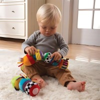 Jucărie cu sunătoare Tomy L27244 imaginea #4 — magazin online Desire.md