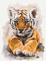 Tablou pe numere Funny Art 30x40cm RBS24302