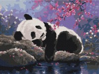 Tablou pe numere Funny Art 30x40cm RBS25108