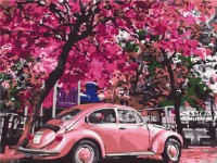 Tablou pe numere Funny Art 30x40cm RBS32366