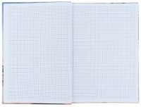 Тетрадь Axent A4 Power 96p 8422-567-A фото №2 — интернет-магазин Desire.md