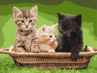 Tablou pe numere Funny Art 30x40cm RBS52621