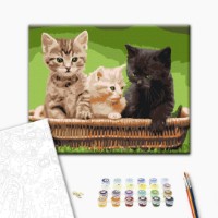 Картина по номерам Funny Art 30x40cm RBS52621 фото №2 — интернет-магазин Desire.md