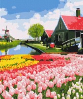 Tablou pe numere Funny Art 30x40cm RBS52716