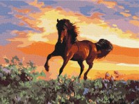 Tablou pe numere Funny Art 30x40cm RBS6943