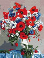 Tablou pe numere Funny Art 30x40cm RBS7806