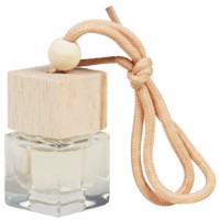 Odorizant de aer Airline Perfume Strong Man AFBU238 imaginea #2 — magazin online Desire.md