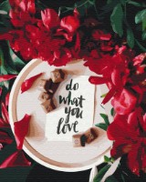 Tablou pe numere Funny Art 40x50cm BS52035