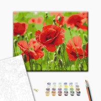 Картина по номерам Funny Art 40x50cm BS53703 фото №2 — интернет-магазин Desire.md