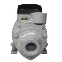 Pompa de grădină Resanta ПСН-3300Ч imaginea #8 — magazin online Desire.md