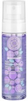 Tonic pentru față Natura Siberica Anti-Ox Wild Blueberry Moisturing Toner 100ml imaginea #1 — magazin online Desire.md