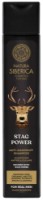 Șampon pentru păr Natura Siberica Siberian Stag Power Anti-Dandruff 250ml imaginea #1 — magazin online Desire.md