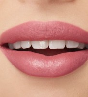Помада для губ MAC Macximal Silky Matte Lipstick You Wouldn`t Get It фото №3 — интернет-магазин Desire.md