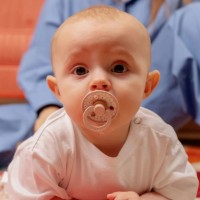 Suzeta BIBS Studio Colour 2 Pack 0+ months Jasmine/Blush Mix (11017103) imaginea #3 — magazin online Desire.md