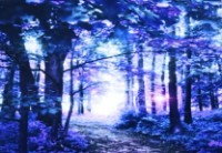 Алмазная картина по номерам PRC 40x50cm Kb0043