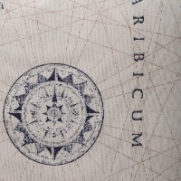 Pernă Ponti Mini Map Beige imaginea #3 — magazin online Desire.md