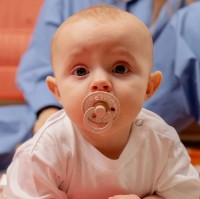 Suzeta BIBS Studio Colour Jasmine Field 0+ months Blush (10018244C) imaginea #3 — magazin online Desire.md