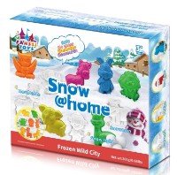 Set pentru creativitate ChiToys Snow Home 300g (ZJA356604)