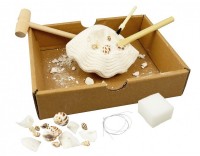 Детский набор для исcледований Buki BK441 фото №2 — интернет-магазин Desire.md